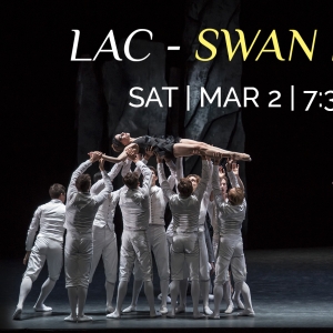 Les Ballets De Monte Carlo To Return To New Orleans With A LAC – SWAN LAKE, A Reimag Photo