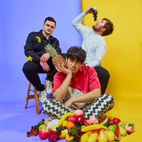 The Happy Fits Release New Single 'Changes' Photo