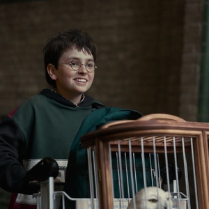 HARRY POTTER Gets Season 2 Order at HBO; Will Begin Filming This Fall Photo