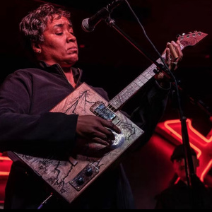 Misty Blues and Bees Deluxe Team Up for Bull Run Performance May 1 Photo