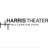 Harris Theater Announces Lori Dimun as New President and CEO Photo