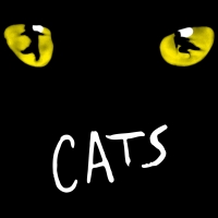 BWW Review: CATS Lets the Memory Live Again in Jackson Photo