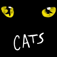 BWW Review: CATS Lets the Memory Live Again in Jackson Video