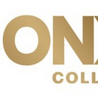 Disney General Entertainment Unveils Onyx Collective, a Dedicated, Premium Content Br Photo