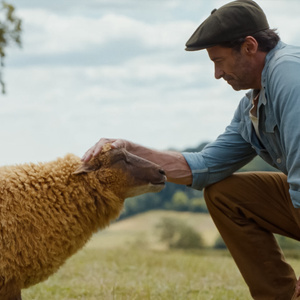 THE SHEEP DETECTIVES Sets Streaming Release on Prime Video Photo