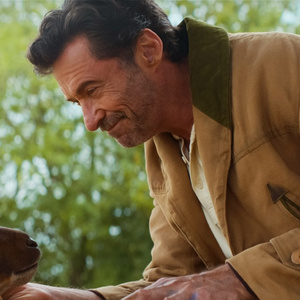Video: Hugh Jackman Stars in New Trailer for THE SHEEP DETECTIVES Photo