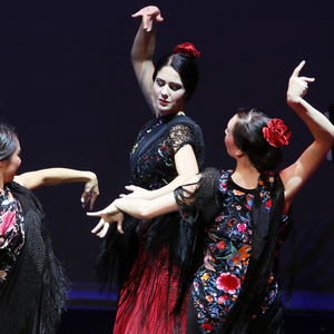 Flamenco Rosario to Perform in The Dance Centre’s DISCOVER DANCE! Series in Vancouver