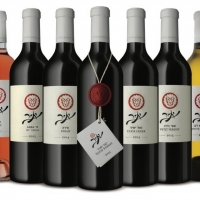 YATIR CREEK 2016 & MOUNT MASA WHITE 2017 are Launched at Exclusive NYC Event