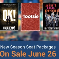 DPAC Announces Broadway Season - TO KILL A MOCKINGBIRD, HADESTOWN, and More! Photo