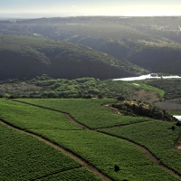 VINA LEYDA Chilean Wines-The “Coastal Vineyards” Sauvignon Blanc Wines are Deligh Photo