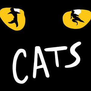 Review: CATS at Broadway Palm Photo