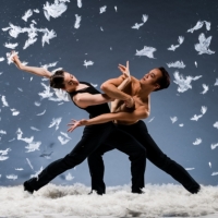 Sacramento Ballets Visions Series to Present COURSE OF ACTION World Premiere Photo
