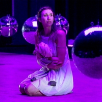 BWW Feature: ONLINE VIRTUAL OPERA TOUR No.43 at Home Computer Screens