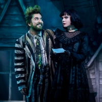 Alex Brightman Out of BEETLEJUICE Due to a Concussion