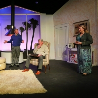 BWW Review: OTHER DESERT CITIES at Tallgrass Theatre Company: A Welcome Journey to a  Video