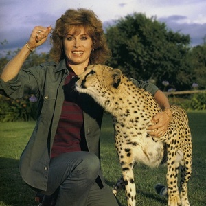 Stefanie Powers And Patrick Wayne Will Reunite For One-Night Performance Of LOVE…