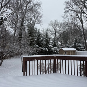 Student Blog: Healthy and Fun Habits for 2026