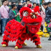 Tết Festival to Kick off Seattle Center's 25th Anniversary of Festál