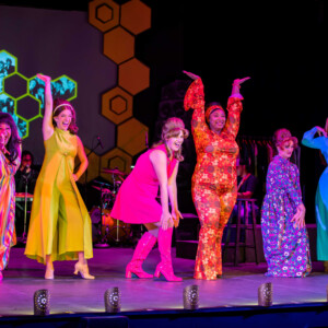 BEEHIVE: THE 60S MUSICAL to Play Delray Beach Playhouse Photo
