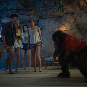 PRIMATE Creature Horror Sets Paramount+ Streaming Premiere Photo