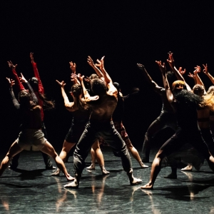 Martha Graham Dance Company to Host Open Rehearsal for ERRAND INTO THE MAZE and CAVE  Photo