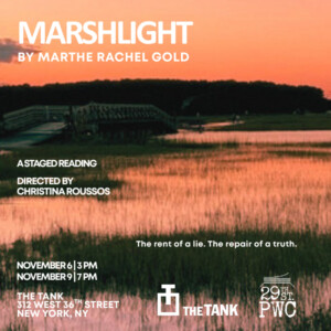 MARSHLIGHT to Hold Staged Reading at The Tank Photo