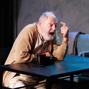 Review: ABACUS from Red Rover Theatre Company Photo