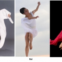 Nai-Ni Chen Dance Company Free Online Company Classes June 1-5, 2020