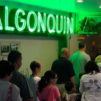 Algonquin Theatre Welcomes New Marketing Director Photo