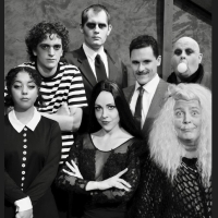THE ADDAMS FAMILY Reopens The California Theatre in November Photo