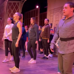 Video: Doctor Stars in HELLO, DOLLY! at San Diego Music Theater Photo