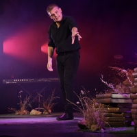 Alan Committie's THE LYING KING Starts 27 November!