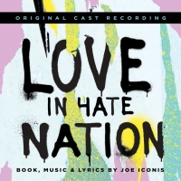 BWW Album Review: LOVE IN HATE NATION Is Defiant But Familiar Photo