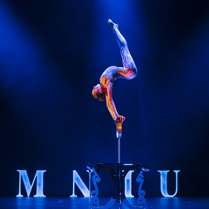 Omnium Circus to Make Canadian Debut at Canadian National Exhibition With I'M POSSIBL Photo
