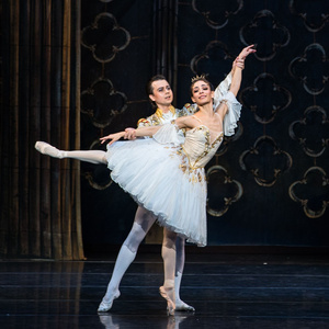 United European Ballet Company Will Perform CINDERELLA at Hershey Theatre Photo