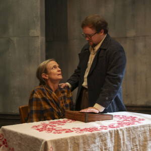 Photos: First Look at VLADIMIR, Opening Shattered Globe's 36th Season at Theater Wit Photo