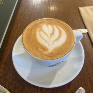 Student Blog: Am I Doing Enough? Photo