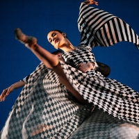 Chamber Dance Project Reschedules its Summer Season From June to July