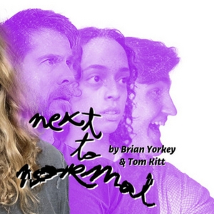 Spotlight: NEXT TO NORMAL at TampaRep Photo