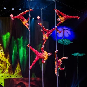 Cirque du Soleil’s OVO Brings a Bold New Buzz to New Orleans Photo