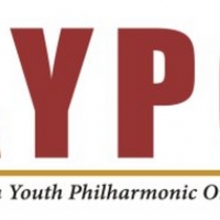 American Youth Philharmonic Orchestra Makes Transition to Virtual Learning Photo