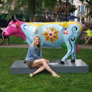 CowParade New England Comes To Harvard Square Photo
