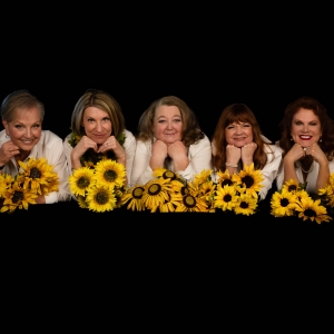 Muskegon Civic Theatre to Celebrate The Holidays With CALENDAR GIRLS Video