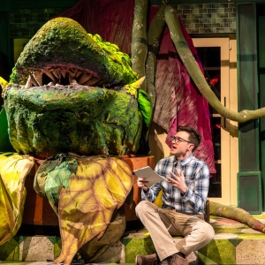 Review: LITTLE SHOP OF HORRORS at North Shore Center For The Performing Arts, Skokie, Photo