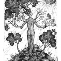 Trans Opera MICHIGAN TREES Comes To NYC For One Night Only