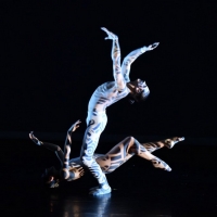 BWW Review: The Luminous and Exhilarating Luminario Ballet  Presents HARD AS A ROCK at Avalon Hollywood