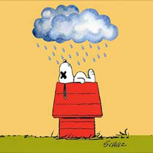 DOG SEES GOD to be Presented by Hofstra Drama in the Black Box Theater This Spring Photo