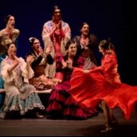 Flamenco Festival Returns To Sadler's Wells Video