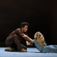 BWW Review: THE CELLIST, Royal Opera House At Home Photo