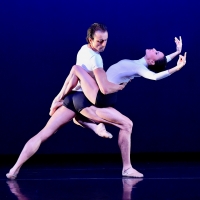 Chamber Dance Offers Free Zoom On Contemporary Ballet Photo